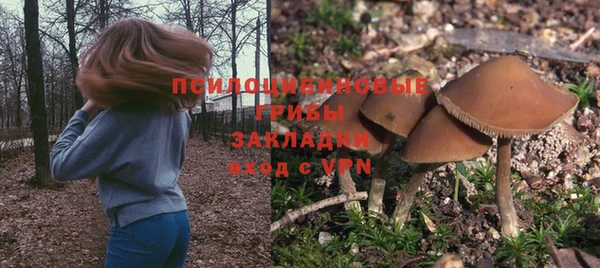 ешки Нягань