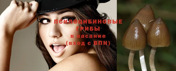 ешки Нягань