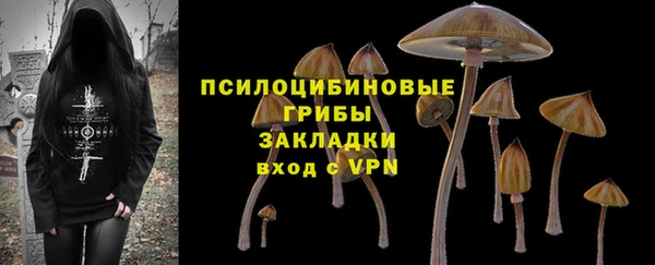 ешки Нягань