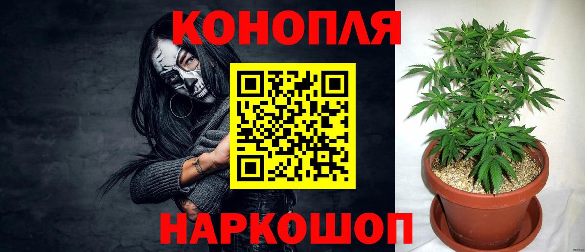 Шишки марихуана OG Kush  Марихуана MAZAR  Бошки марихуана планчик  Краснокаменск  Вход с VPN 